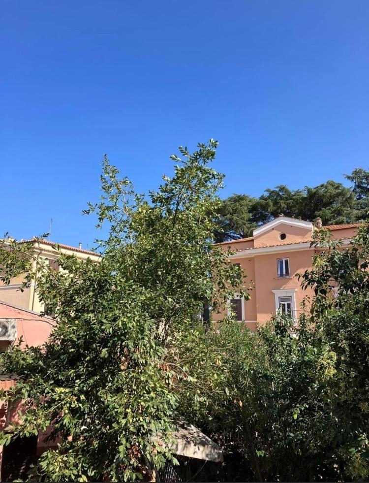 Casa Di Vivi, Comoda Per Il Centro, Il Vaticano Ed Il Gemelli Rom Eksteriør billede